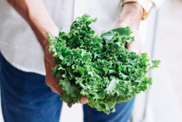 Kale - the sweet winter vegetable