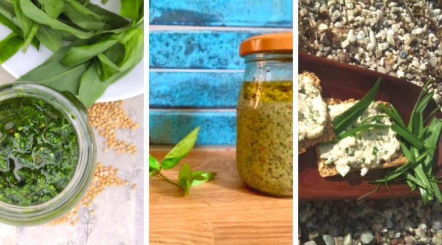 Nouvelles recettes à base de plantes sauvages comestibles. Ces herbes printanières égayeront votre cuisine et vos repas.